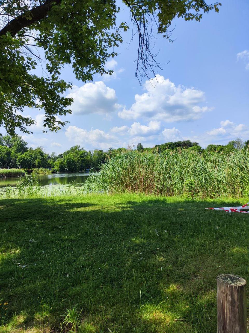 Ferienwohnung Mit Ausblick In Wimmelburg Exteriér fotografie