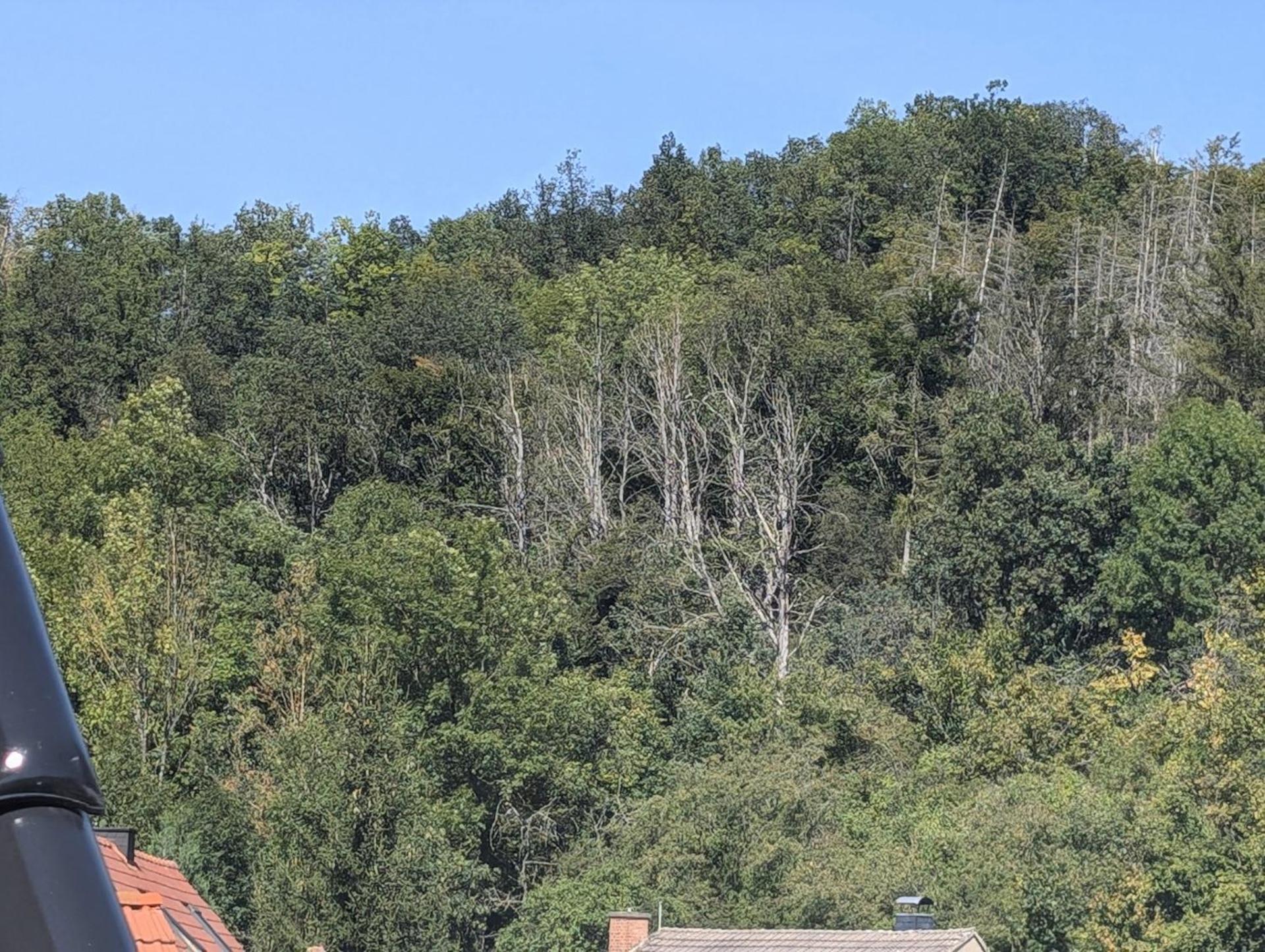 Ferienwohnung Mit Ausblick In Wimmelburg Exteriér fotografie